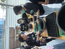 ปลูกผักเพียงพอดี ครั้งที่ 1 