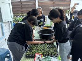 ปลูกผักเพียงพอดี ครั้งที่ 1 