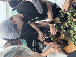 ปลูกผักเพียงพอดี ครั้งที่ 1 