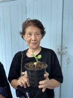 ปลูกผักเพียงพอดี ครั้งที่ 1 