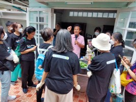 ปลูกผักเพียงพอดี ครั้งที่ 2