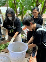 ปลูกผักเพียงพอดี ครั้งที่ 2