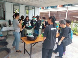 ปลูกผักเพียงพอดี ครั้งที่ 3