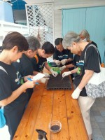 ปลูกผักเพียงพอดี ครั้งที่ 3