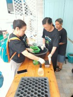 ปลูกผักเพียงพอดี ครั้งที่ 3