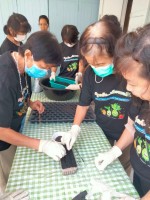 ปลูกผักเพียงพอดี ครั้งที่ 3