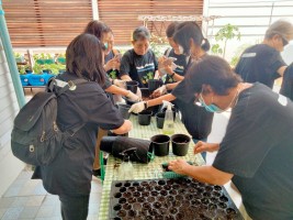 ปลูกผักเพียงพอดี ครั้งที่ 3