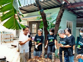 ปลูกผักเพียงพอดี ครั้งที่ 3