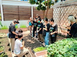 ปลูกผักเพียงพอดี ครั้งที่ 3