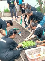 ปลูกผักเพียงพอดี ครั้งที่ 3