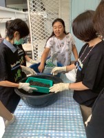 ปลูกผักเพียงพอดี ครั้งที่ 4