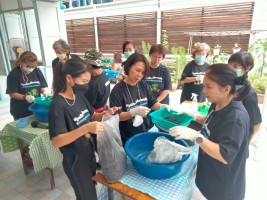 ปลูกผักเพียงพอดี ครั้งที่ 4