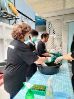 ปลูกผักเพียงพอดี ครั้งที่ 4