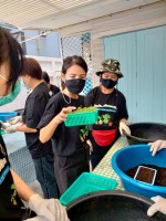 ปลูกผักเพียงพอดี ครั้งที่ 4