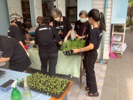 ปลูกผักเพียงพอดี ครั้งที่ 4