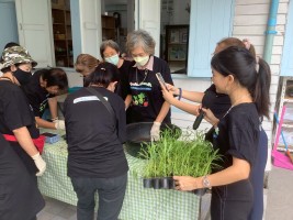 ปลูกผักเพียงพอดี ครั้งที่ 4
