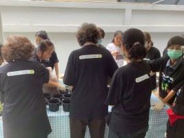 ปลูกผักเพียงพอดี ครั้งที่ 4