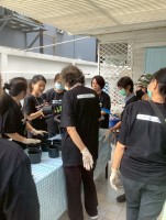 ปลูกผักเพียงพอดี ครั้งที่ 4
