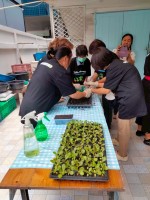 ปลูกผักเพียงพอดี ครั้งที่ 4