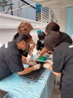 ปลูกผักเพียงพอดี ครั้งที่ 4