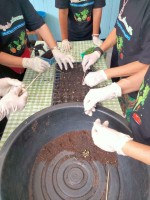 ปลูกผักเพียงพอดี ครั้งที่ 4