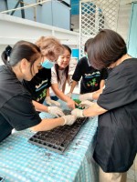 ปลูกผักเพียงพอดี ครั้งที่ 4