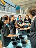 ปลูกผักเพียงพอดี ครั้งที่ 4