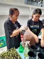 ปลูกผักเพียงพอดี ครั้งที่ 4