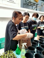 ปลูกผักเพียงพอดี ครั้งที่ 4