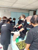 ปลูกผักเพียงพอดี ครั้งที่ 4