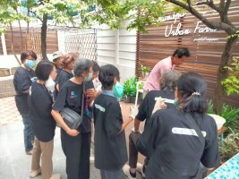 ปลูกผักเพียงพอดี ครั้งที่ 4