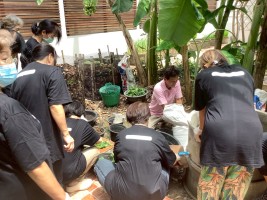 ปลูกผักเพียงพอดี ครั้งที่ 4