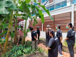 ปลูกผักเพียงพอดี ครั้งที่ 4