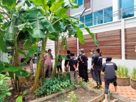 ปลูกผักเพียงพอดี ครั้งที่ 4