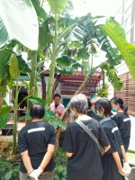 ปลูกผักเพียงพอดี ครั้งที่ 4