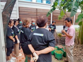 ปลูกผักเพียงพอดี ครั้งที่ 4