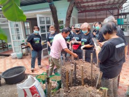 ปลูกผักเพียงพอดี ครั้งที่ 4
