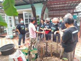ปลูกผักเพียงพอดี ครั้งที่ 4