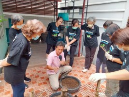 ปลูกผักเพียงพอดี ครั้งที่ 4