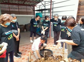 ปลูกผักเพียงพอดี ครั้งที่ 4