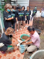 ปลูกผักเพียงพอดี ครั้งที่ 4