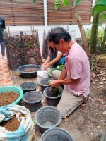 ปลูกผักเพียงพอดี ครั้งที่ 4