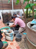 ปลูกผักเพียงพอดี ครั้งที่ 4