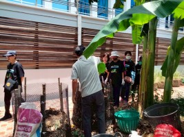 ปลูกผักเพียงพอดี ครั้งที่ 5