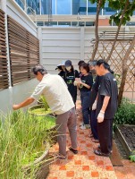 ปลูกผักเพียงพอดี ครั้งที่ 5
