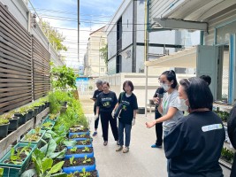 ปลูกผักเพียงพอดี ครั้งที่ 6