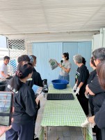 ปลูกผักเพียงพอดี ครั้งที่ 6