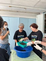 ปลูกผักเพียงพอดี ครั้งที่ 6