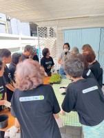 ปลูกผักเพียงพอดี ครั้งที่ 6