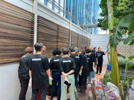 ปลูกผักเพียงพอดี ครั้งที่ 6